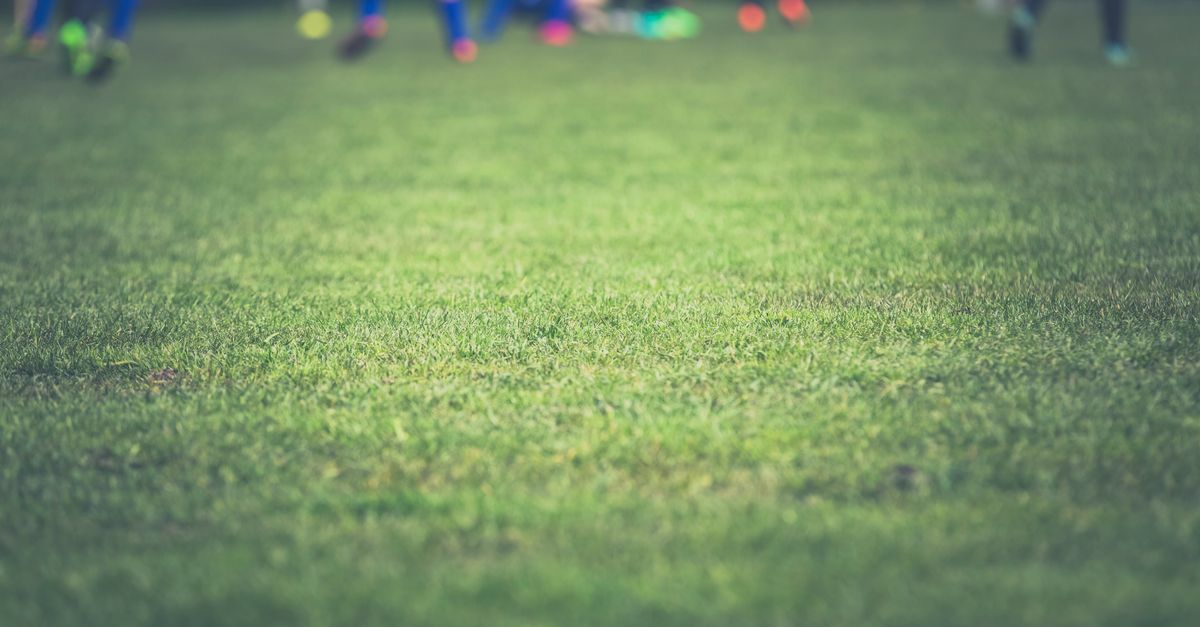 Foto: Markus Spiske / Pexels