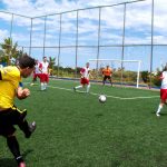 Foto: Lucas Andrade / Pexels