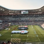 Foto: David Michael Bayliss / Pexels