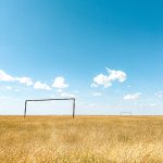 Foto: Vasily Baranov / Pexels