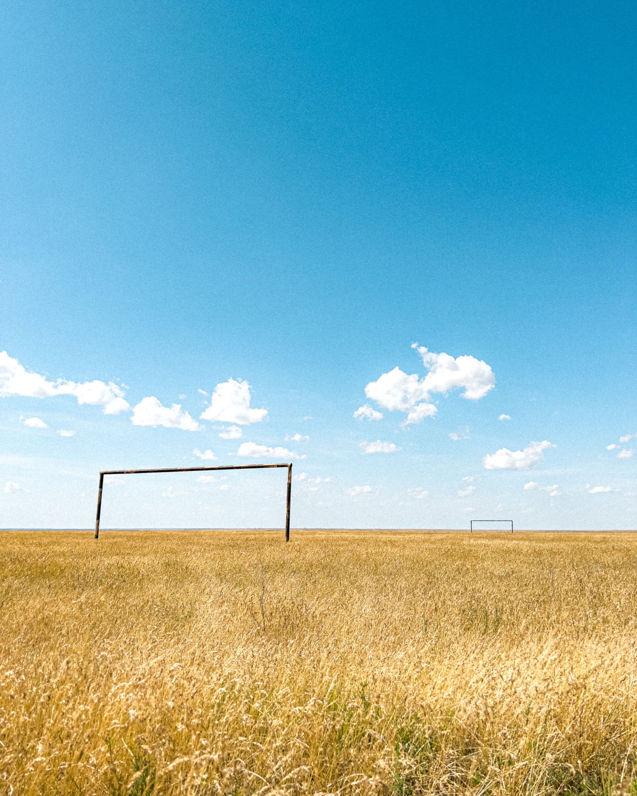 Foto: Vasily Baranov / Pexels