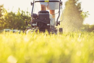 Foto: Magic K / Pexels