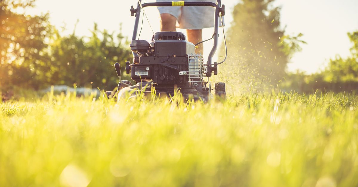 Foto: Magic K / Pexels