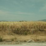 Foto: Ngoc Nguyen / Pexels
