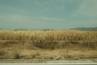 Foto: Ngoc Nguyen / Pexels